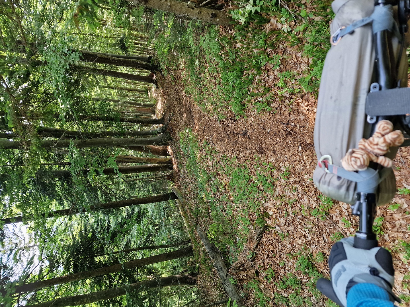 achomitzer-trail5.jpg
