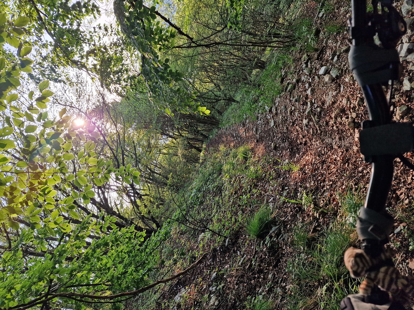 alano-trail3.jpg