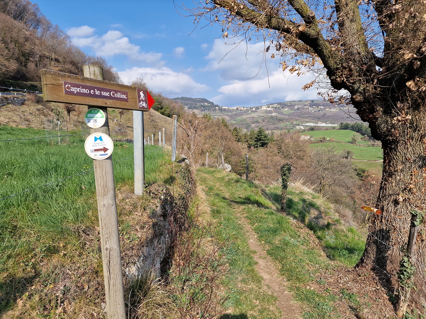 braga-trail2.jpg