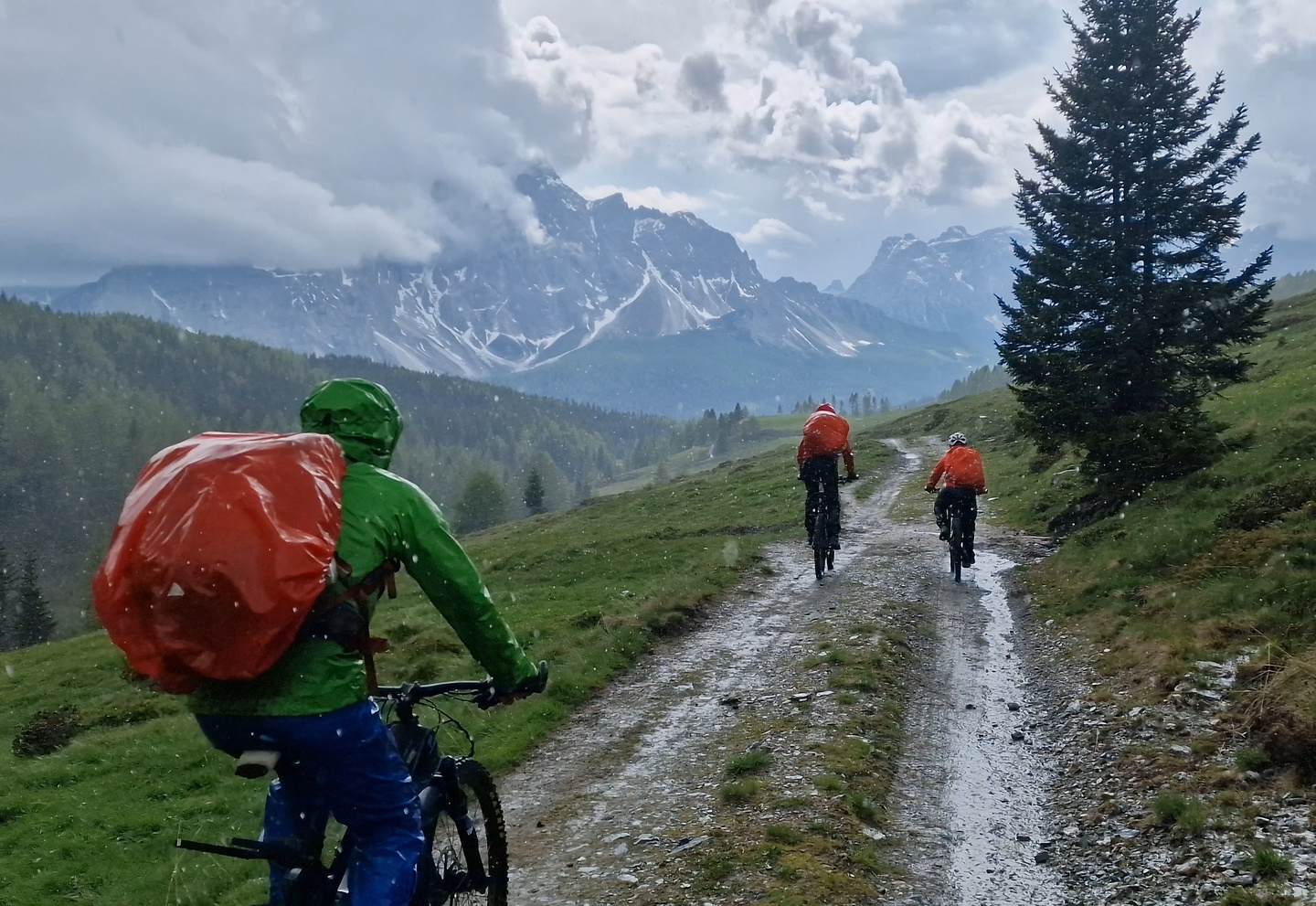 carnica-trail22.jpg