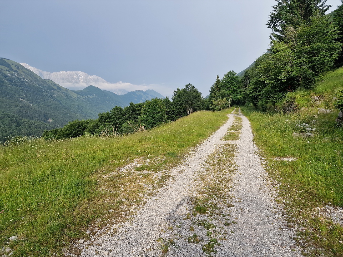 carnizza-uphill3.jpg