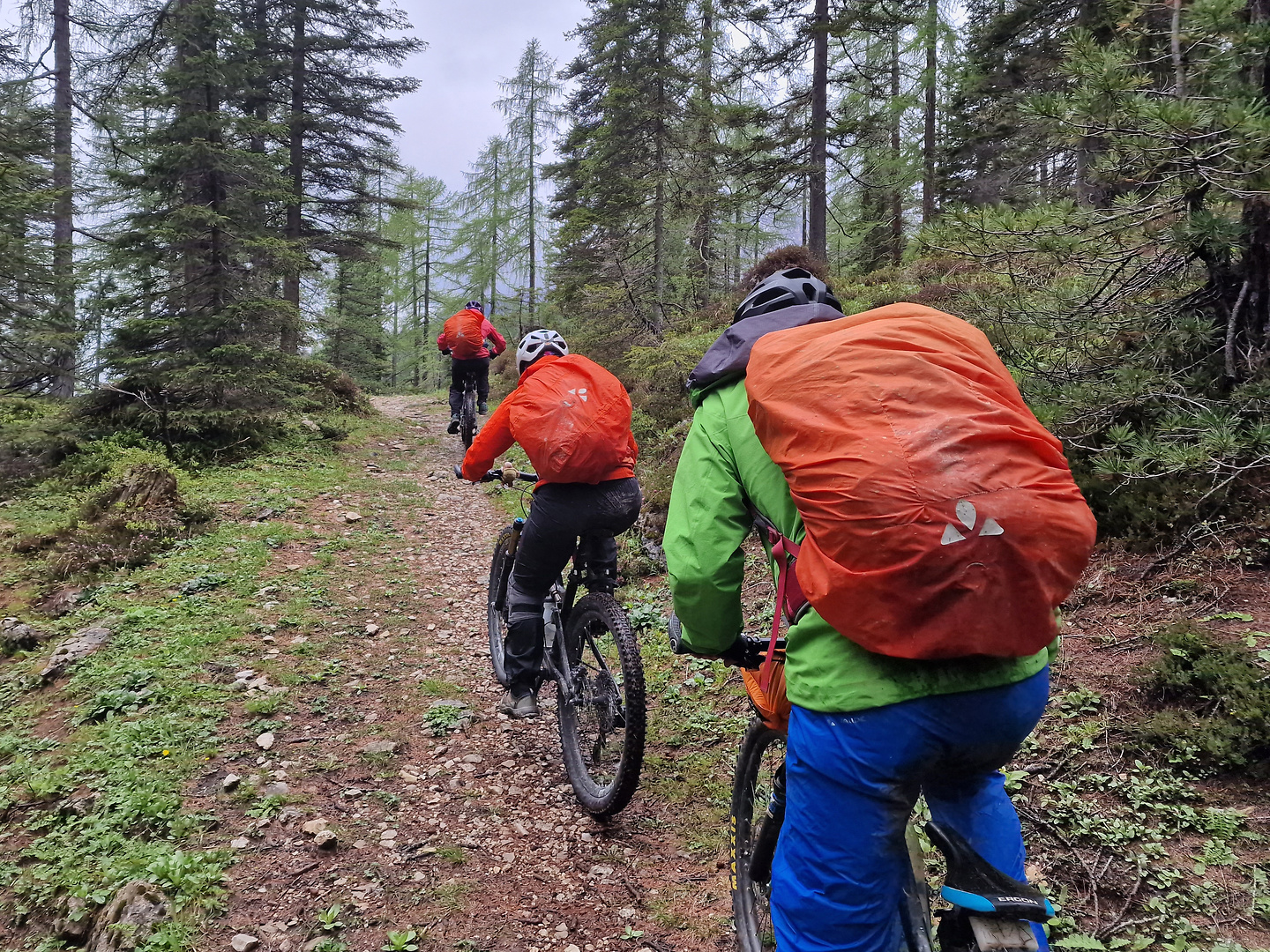 carpi-trail5.jpg