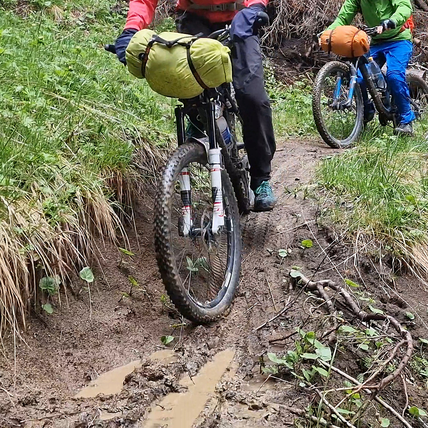 carpi-trail6a.jpg