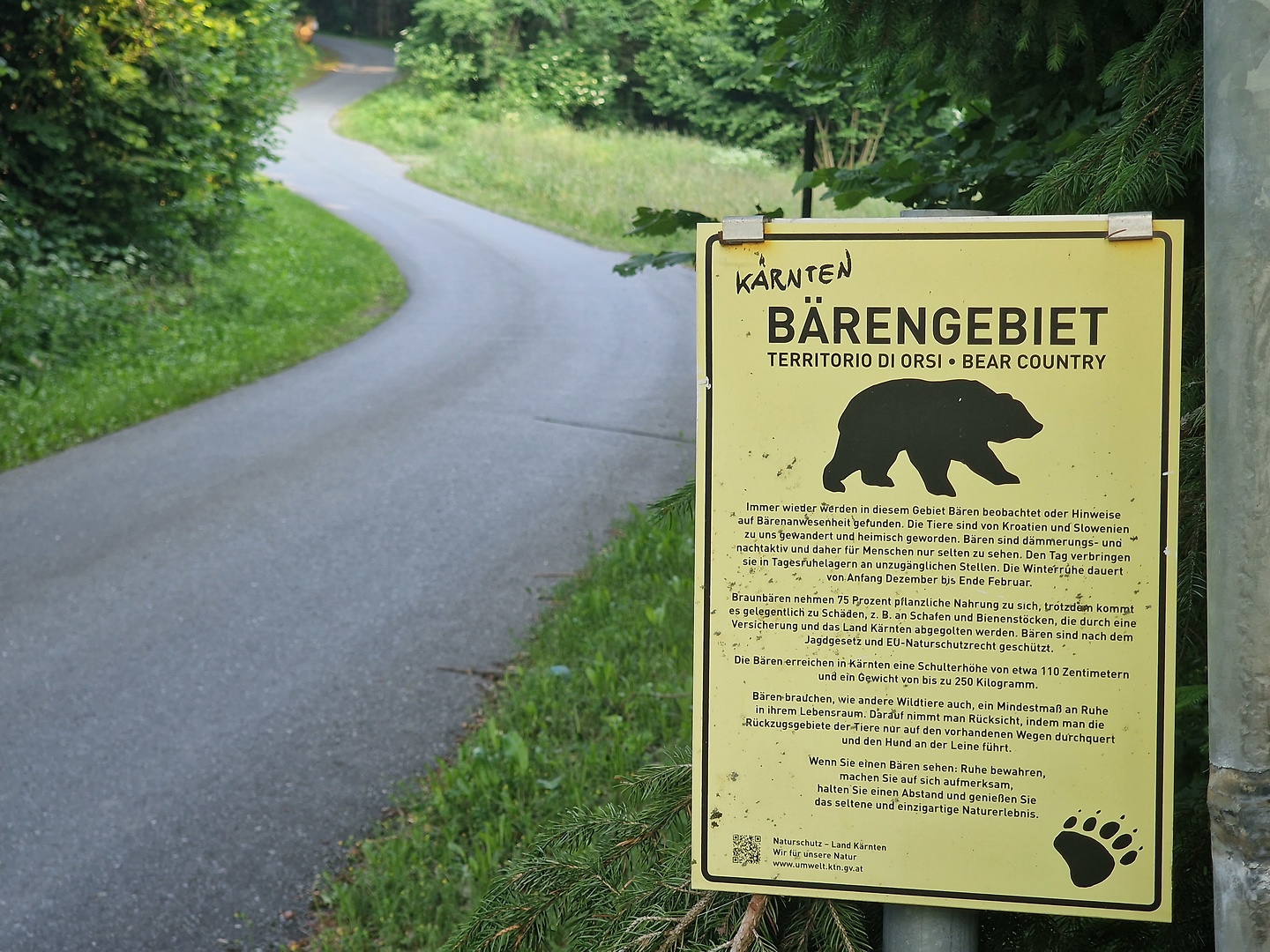 feistritzer-uphill1.jpg