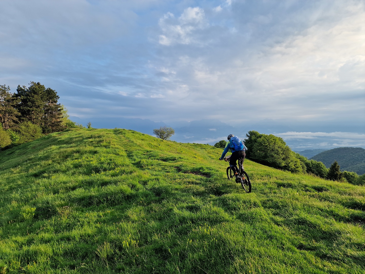 foran-trail1.jpg