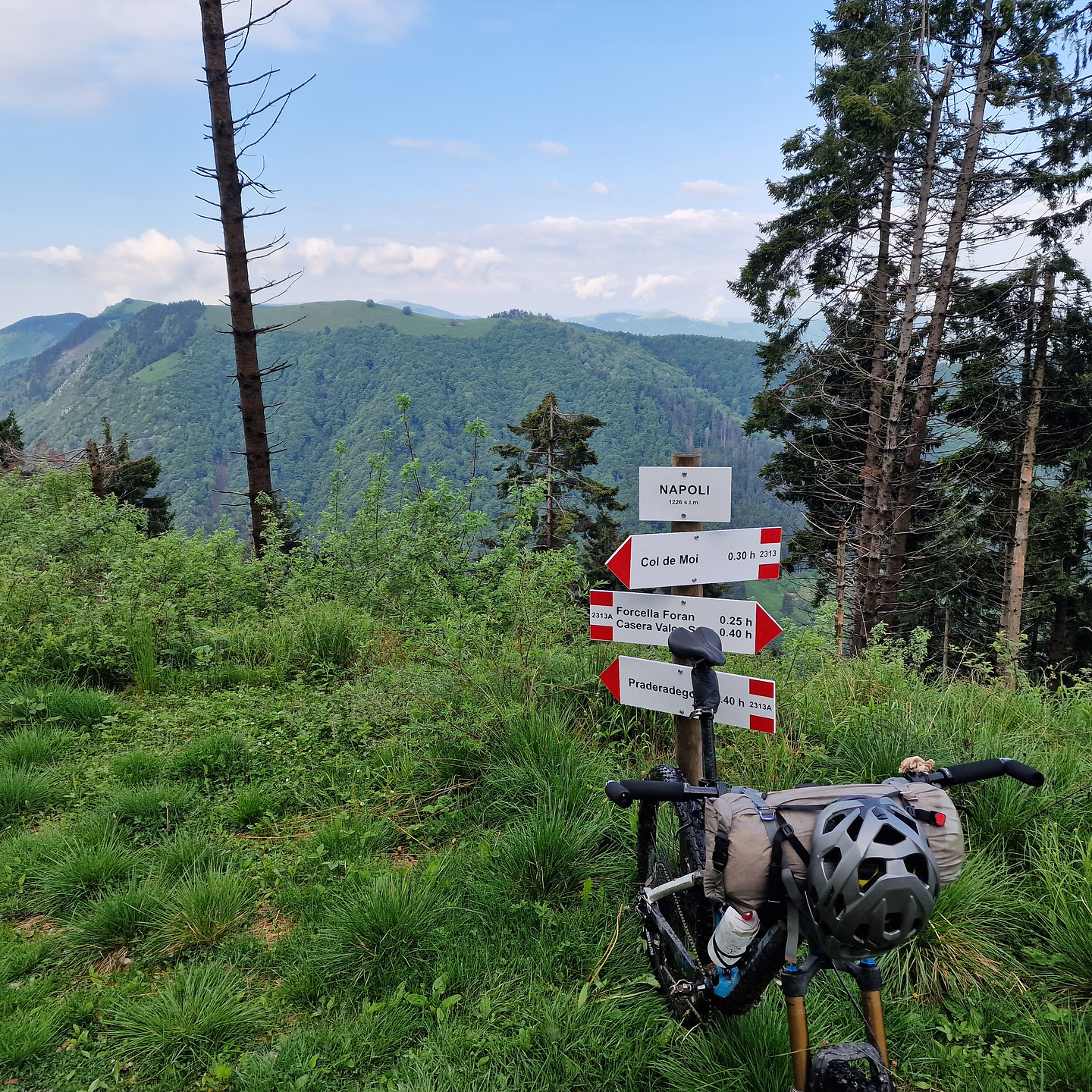 foran-uphill2.jpg