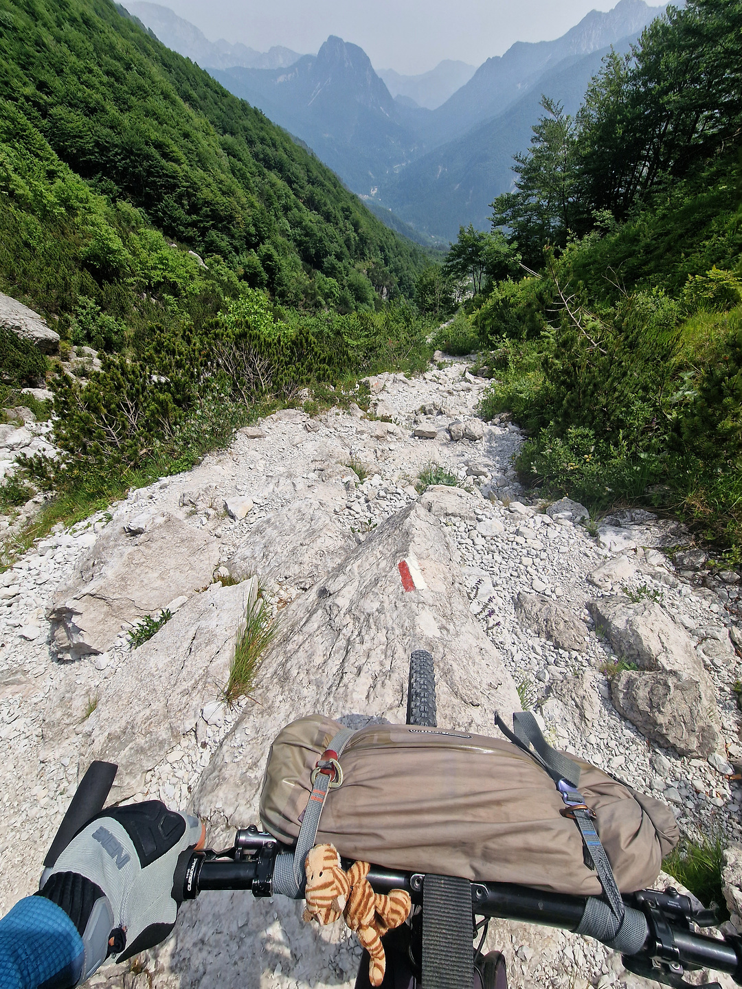 grauzaria-trail2.jpg