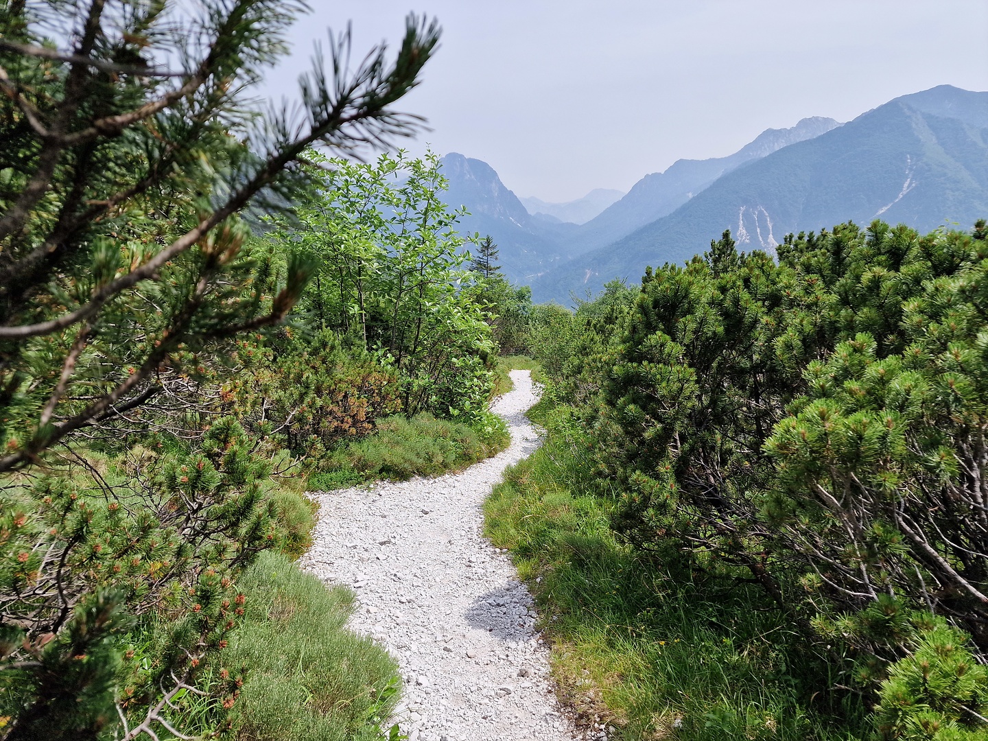 grauzaria-trail4.jpg