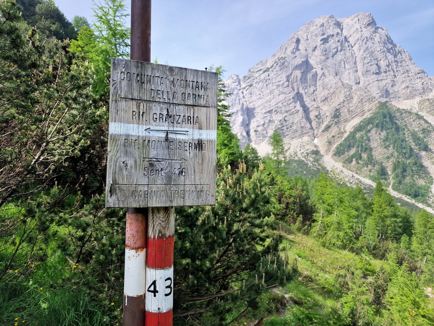 monteflop-trail6.jpg