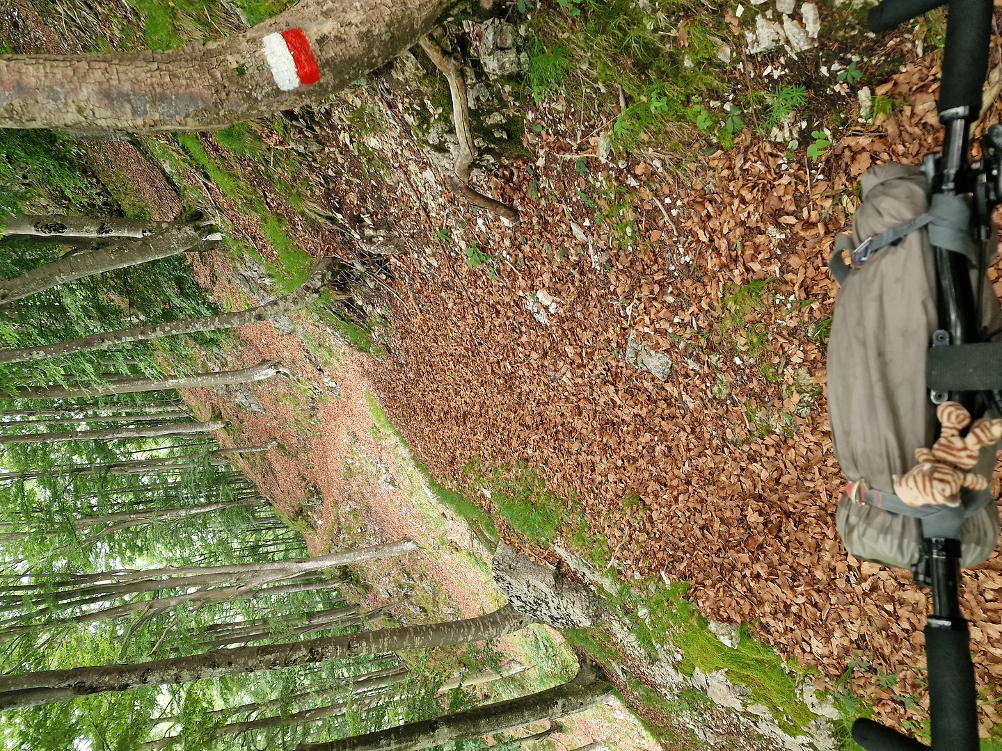 nischiuarch-trail4.jpg