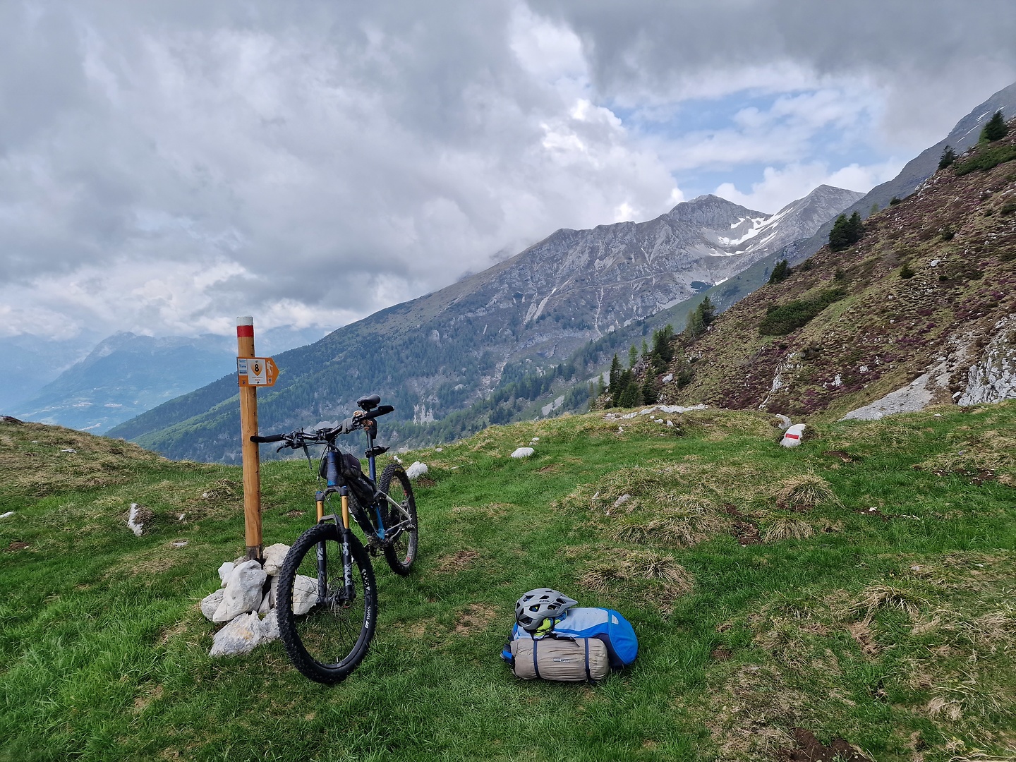 palantina-col1.jpg