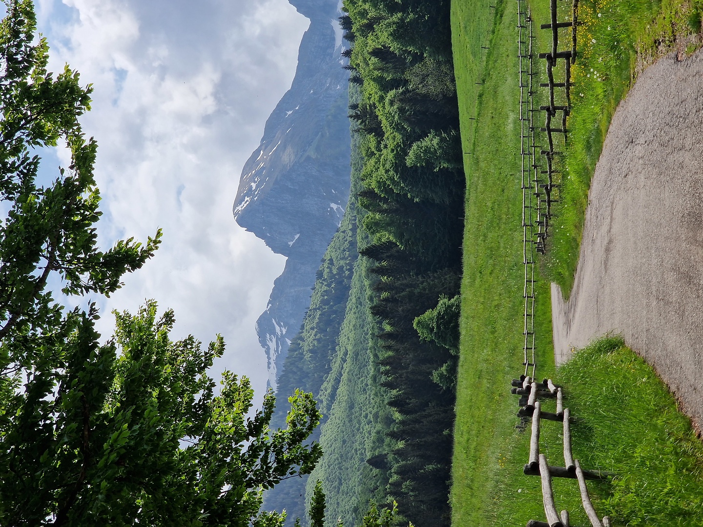 palantina-uphill2.jpg