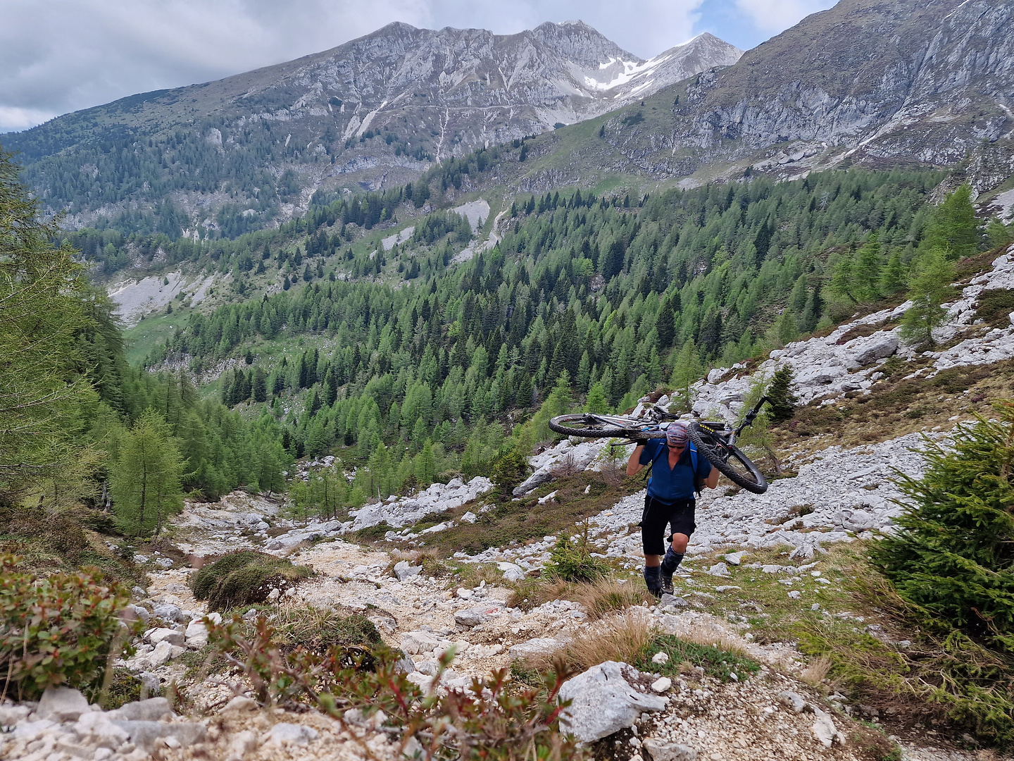 palantina-uphill6.jpg