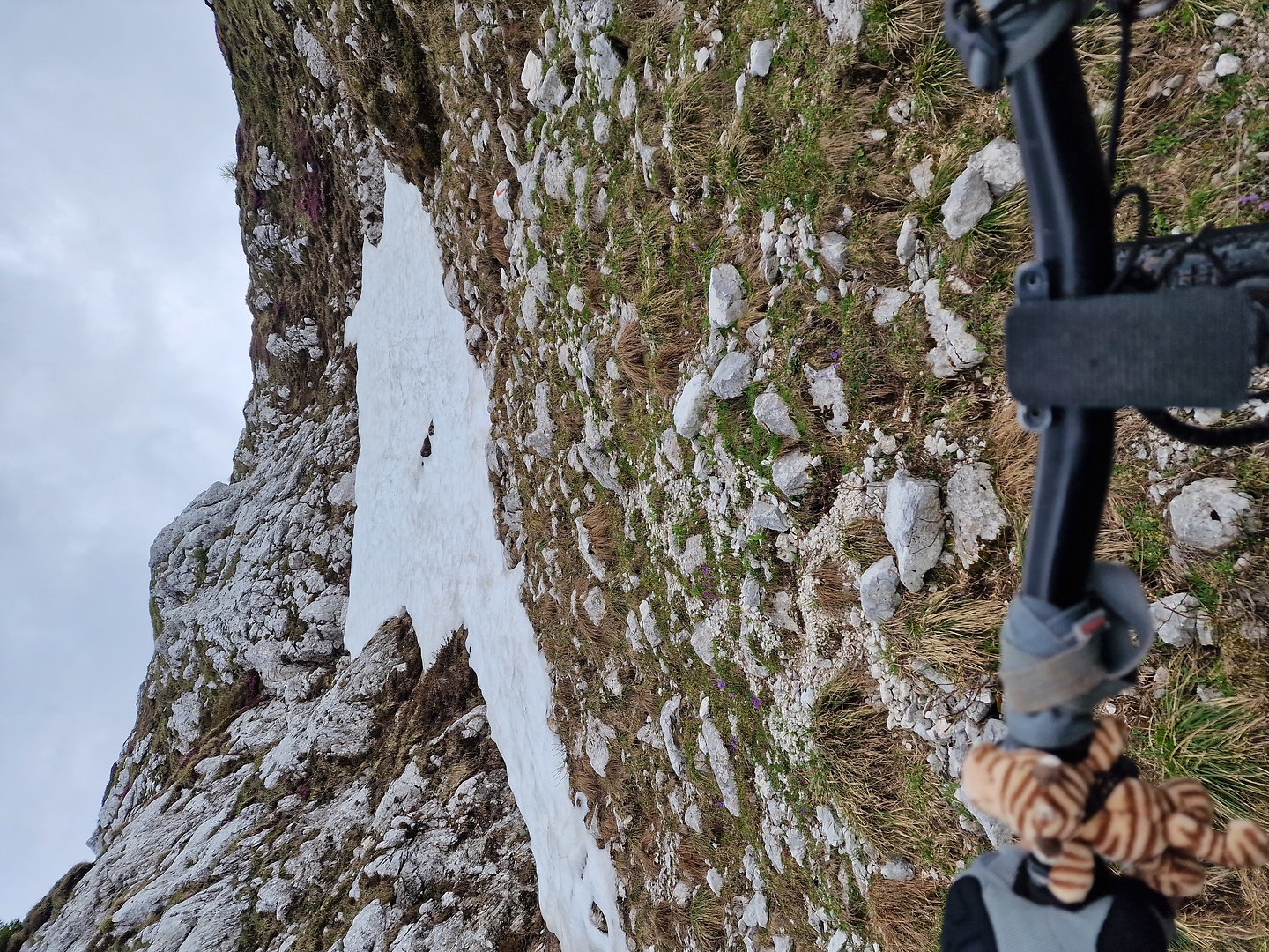 palantina-uphill7.jpg