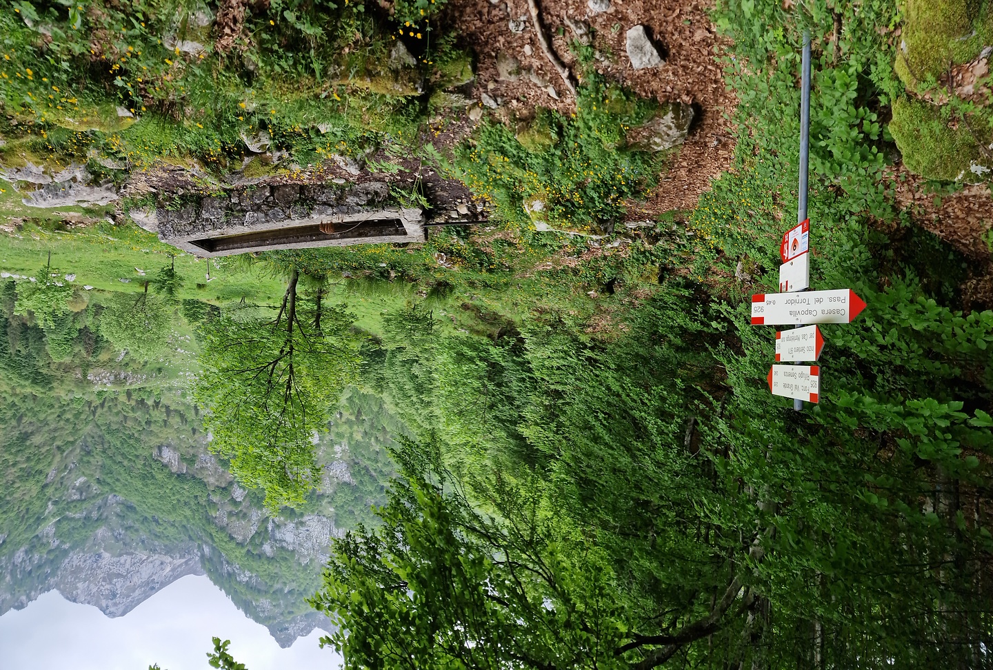 piancavallo-trail7.jpg