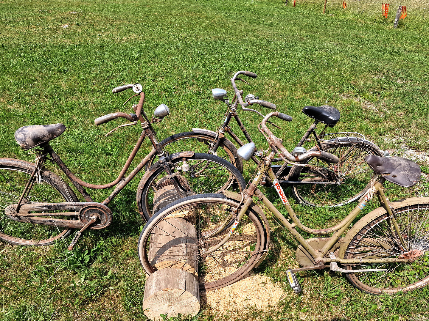 pontebba-bikes.jpg