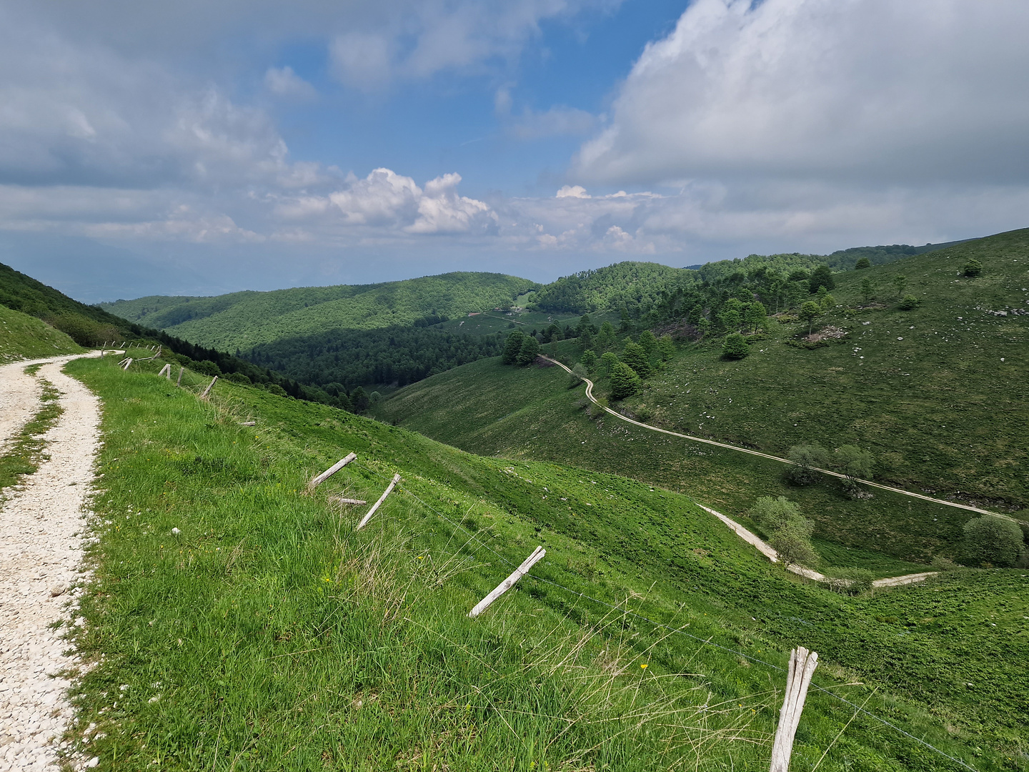 salvedella-trail1.jpg
