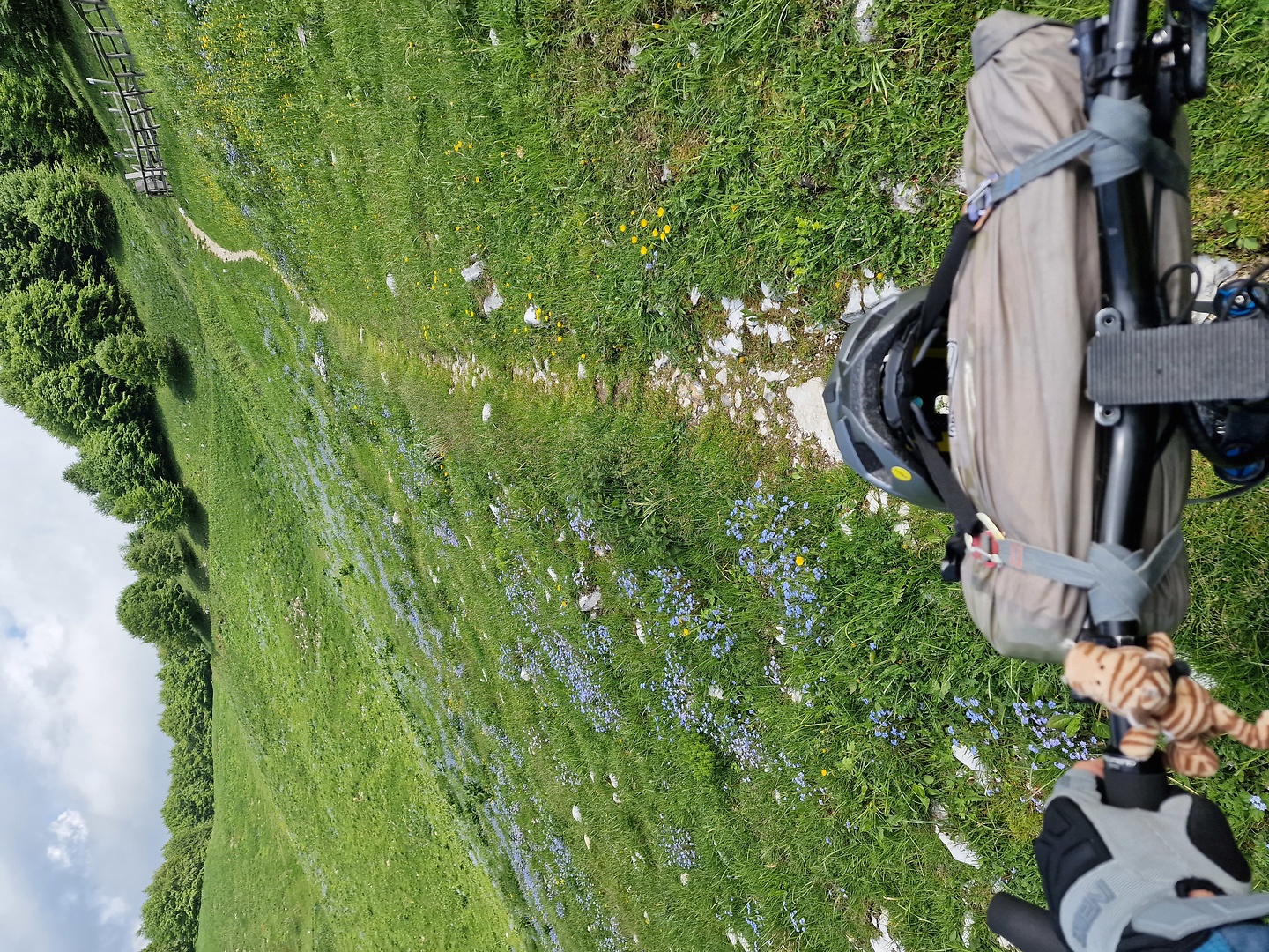 salvedella-trail2.jpg