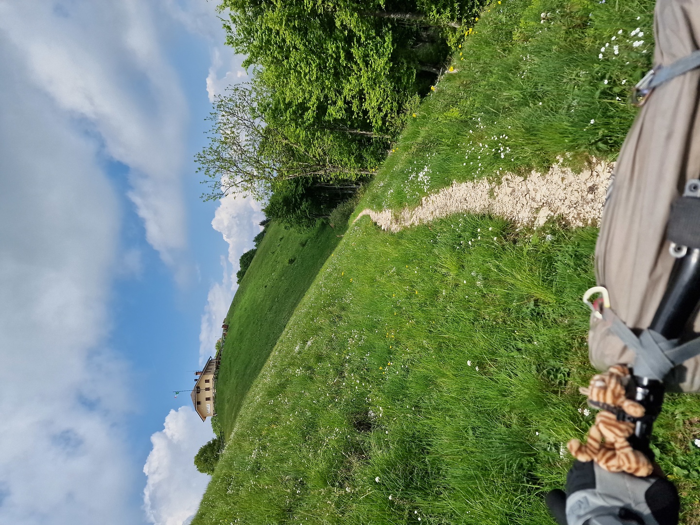 salvedella-trail3.jpg