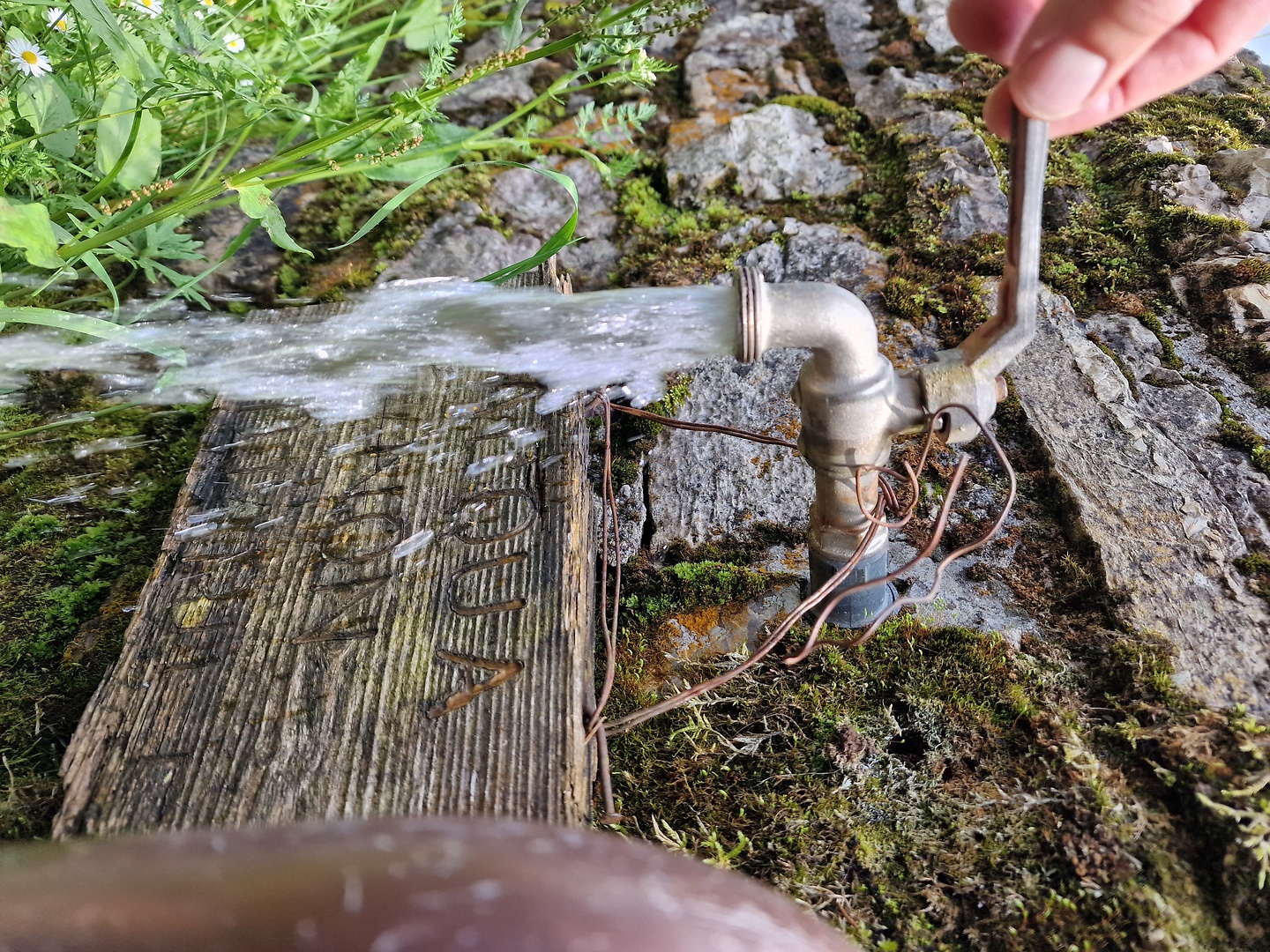 salvedella-water.jpg