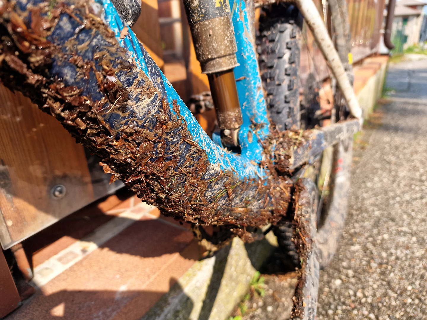 sanboldo-dirt1.jpg