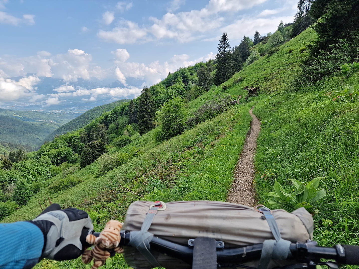 sanboldo-trail1.jpg