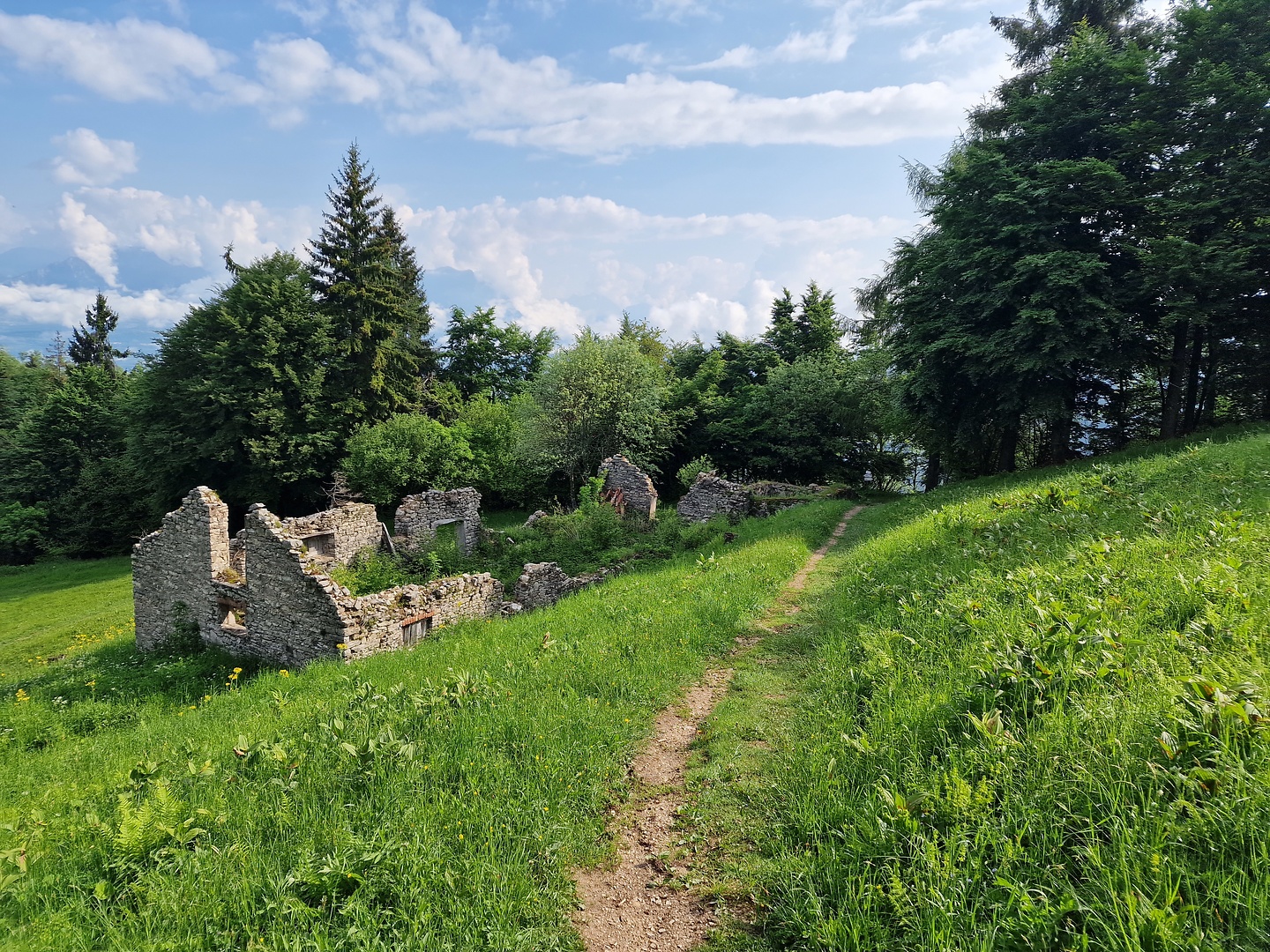 sanboldo-trail2.jpg