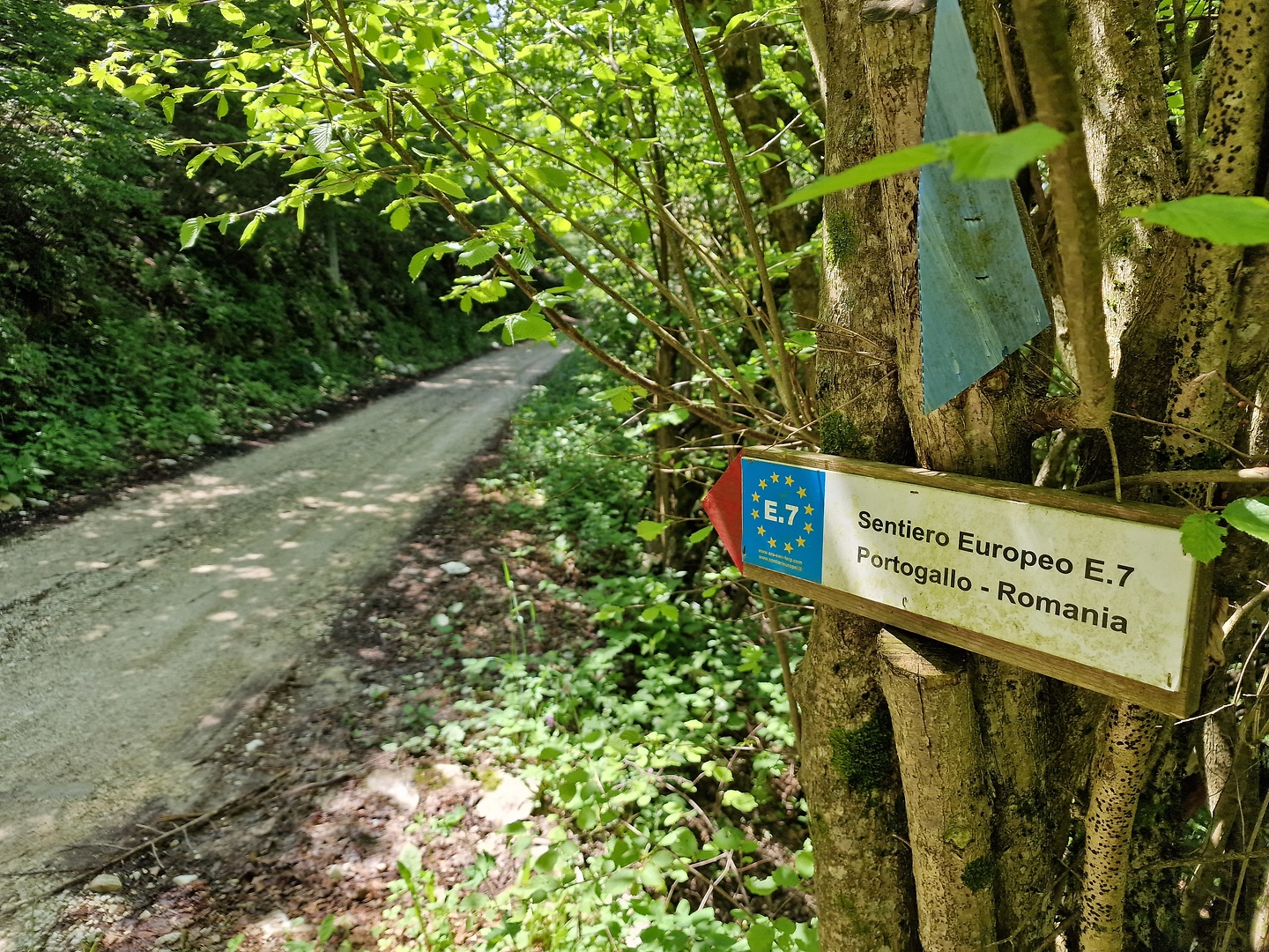segusino-uphill2.jpg