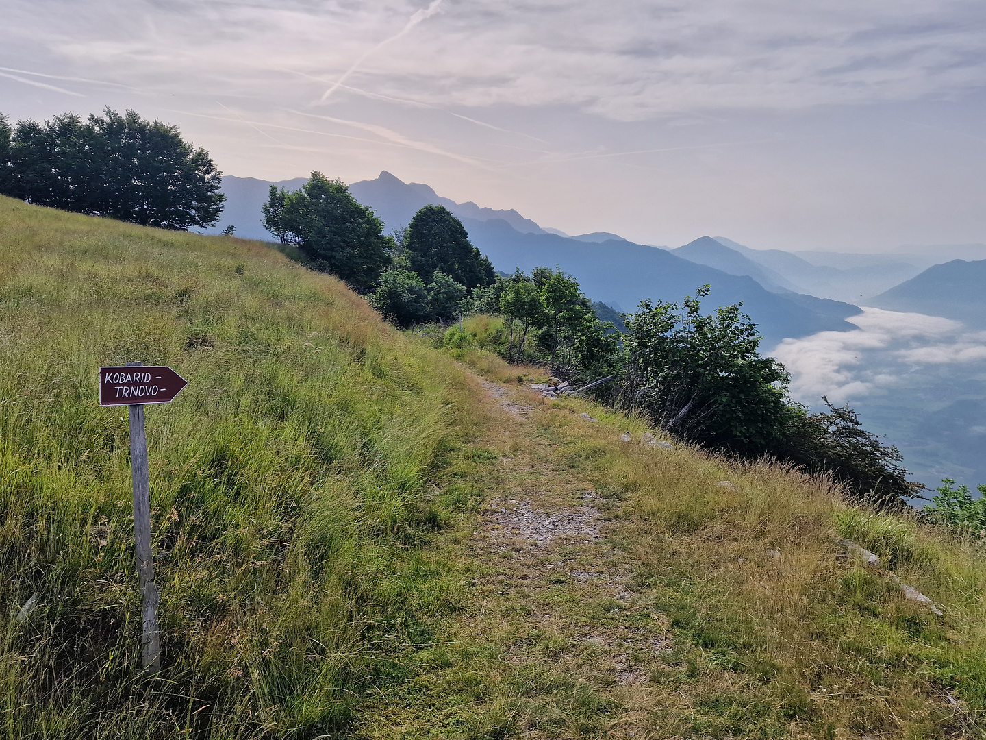 stol-trail1.jpg