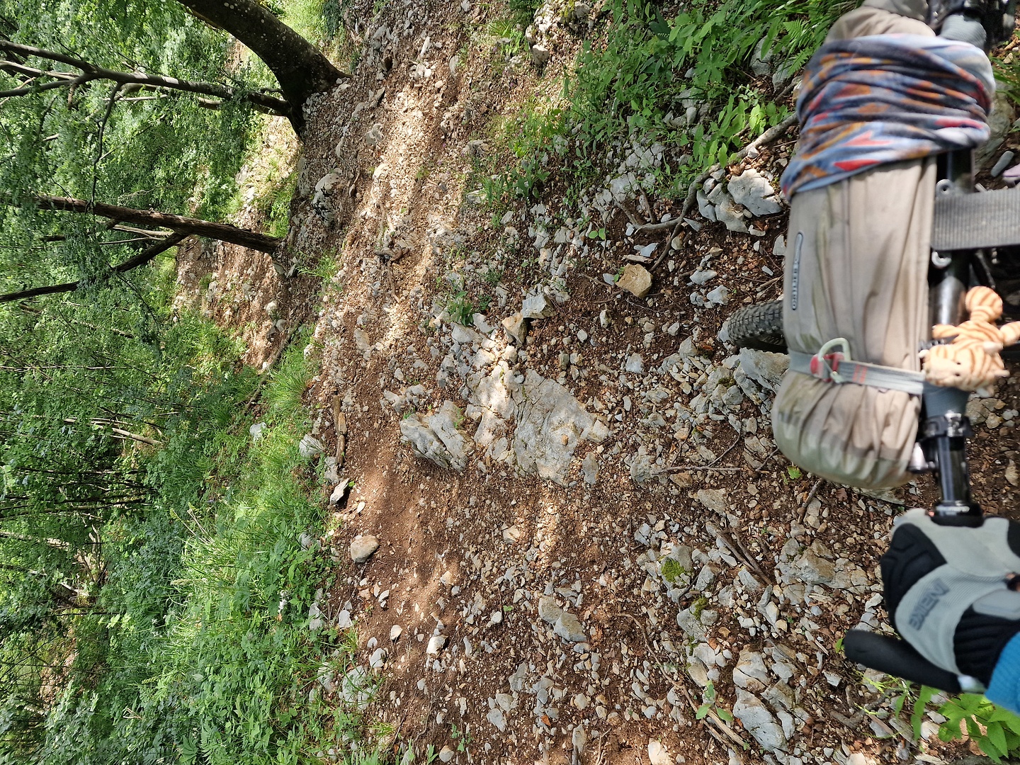 stol-trail3.jpg