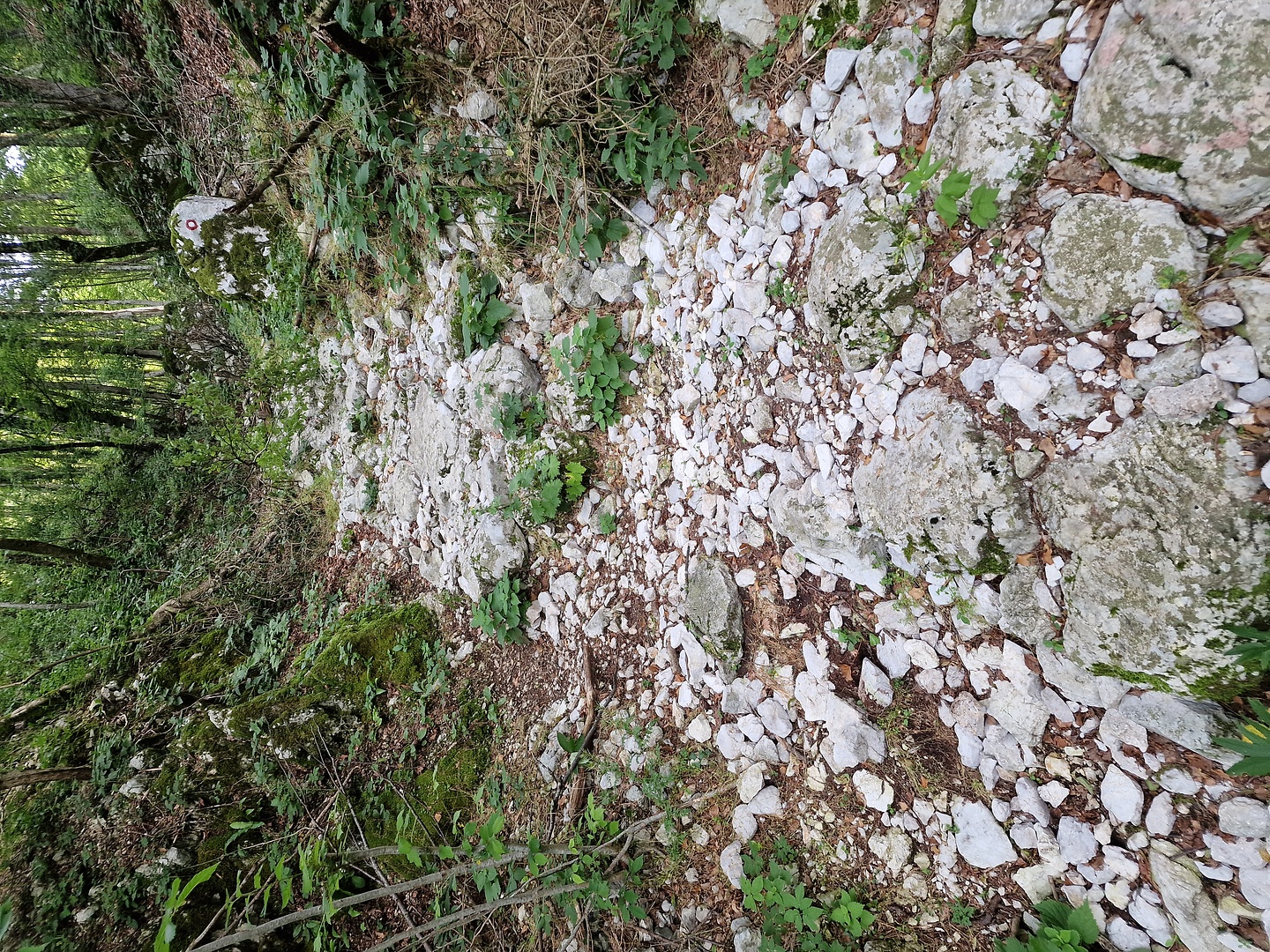 stol-trail4.jpg