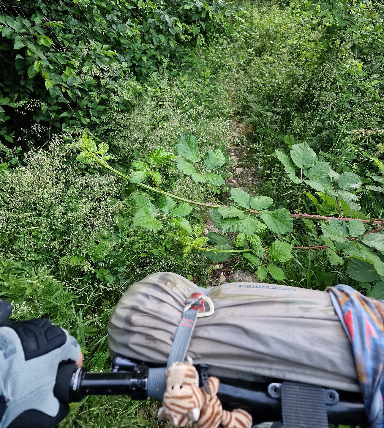 stol-trail6.jpg