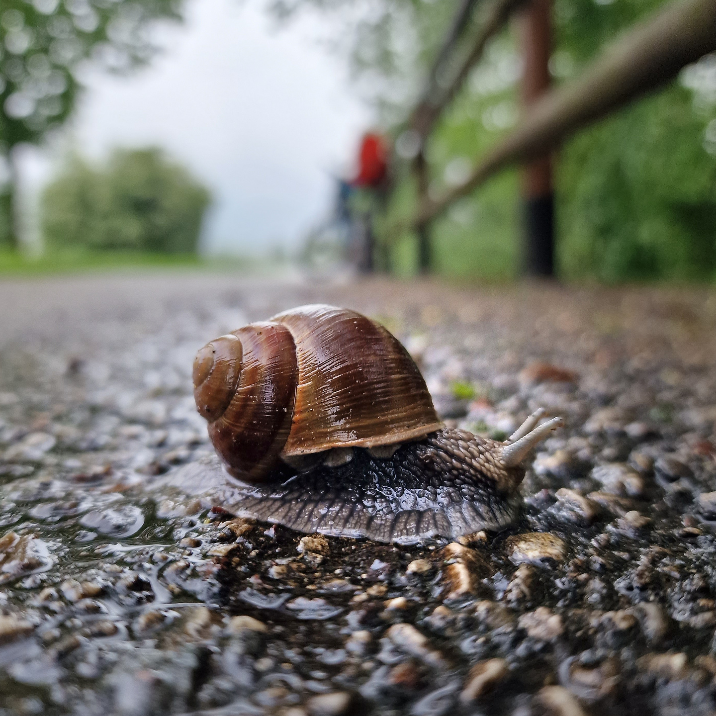 valsugana-cyclepath5.jpg