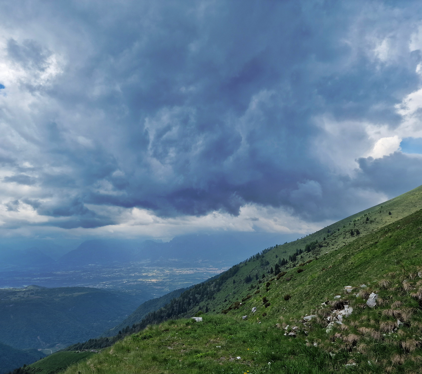visentin-uphill3.jpg