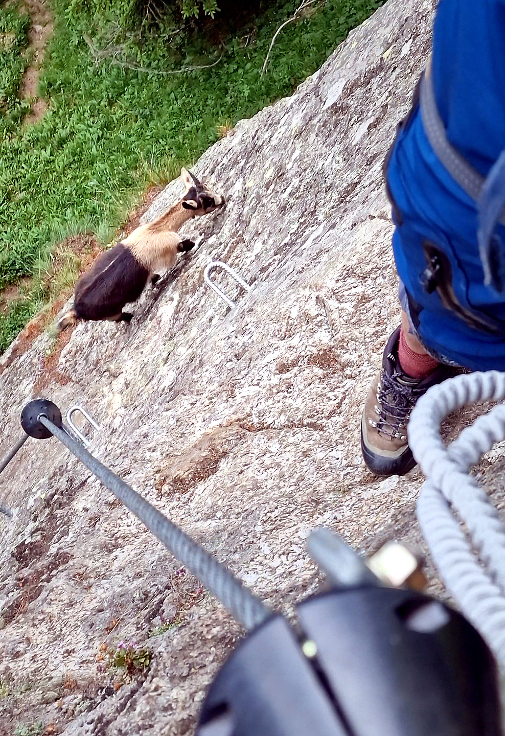 ziel-ferrata16.jpg