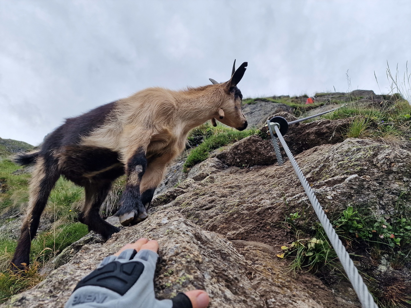 ziel-ferrata8.jpg