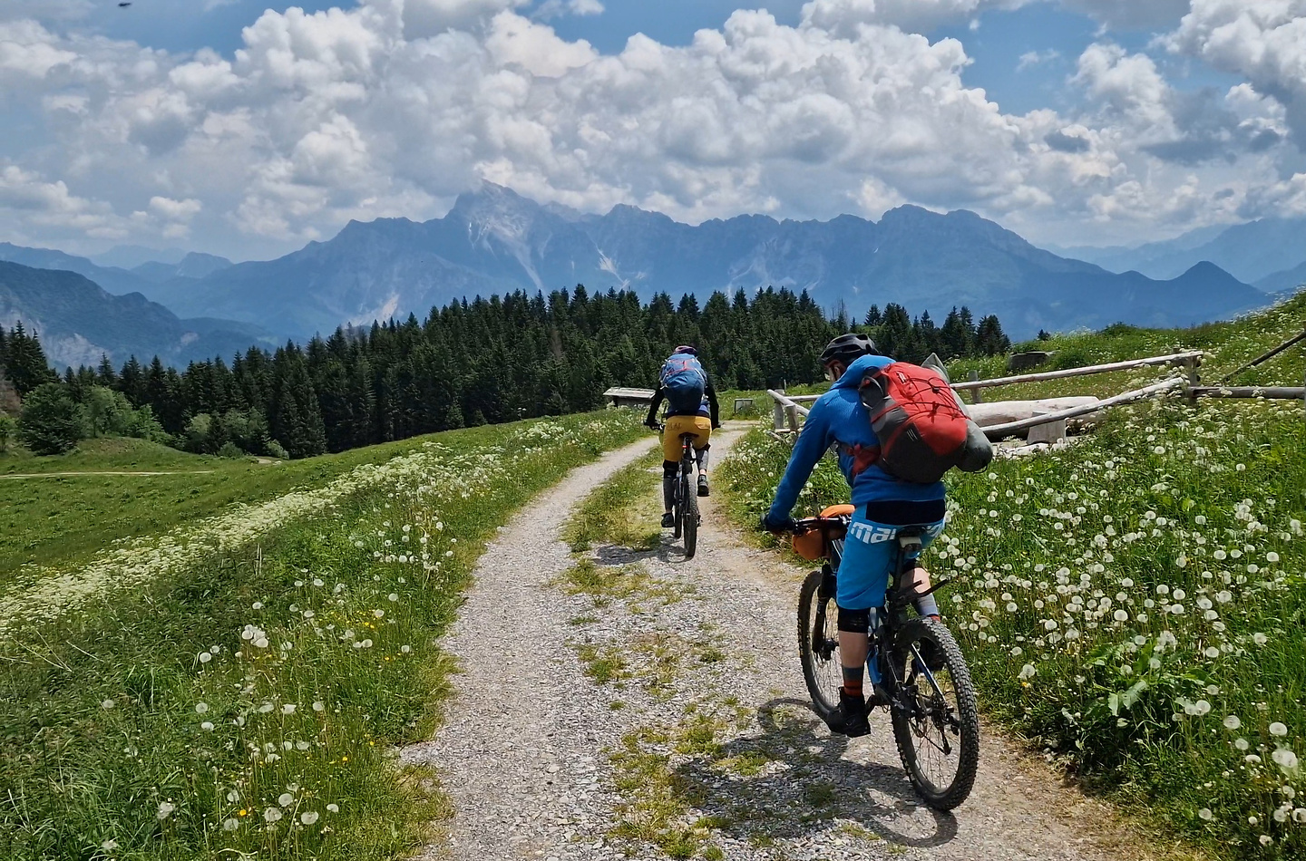 zoncolan-trail1.jpg