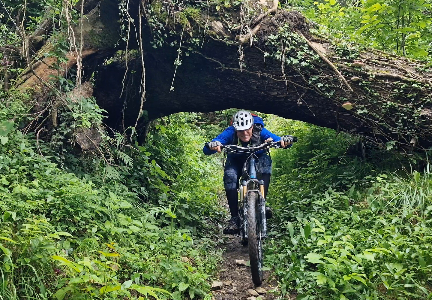 zoncolan-trail5.jpg