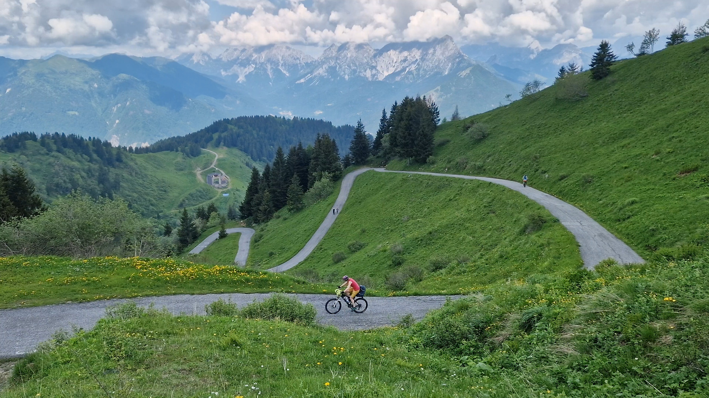 zoncolan-uphill8.jpg