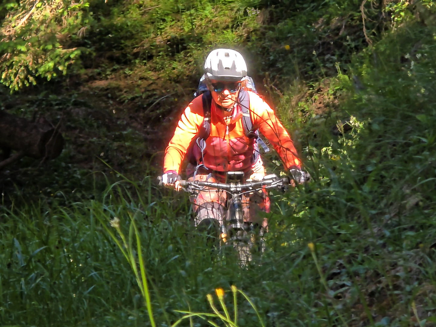 airolo-trail4.jpg