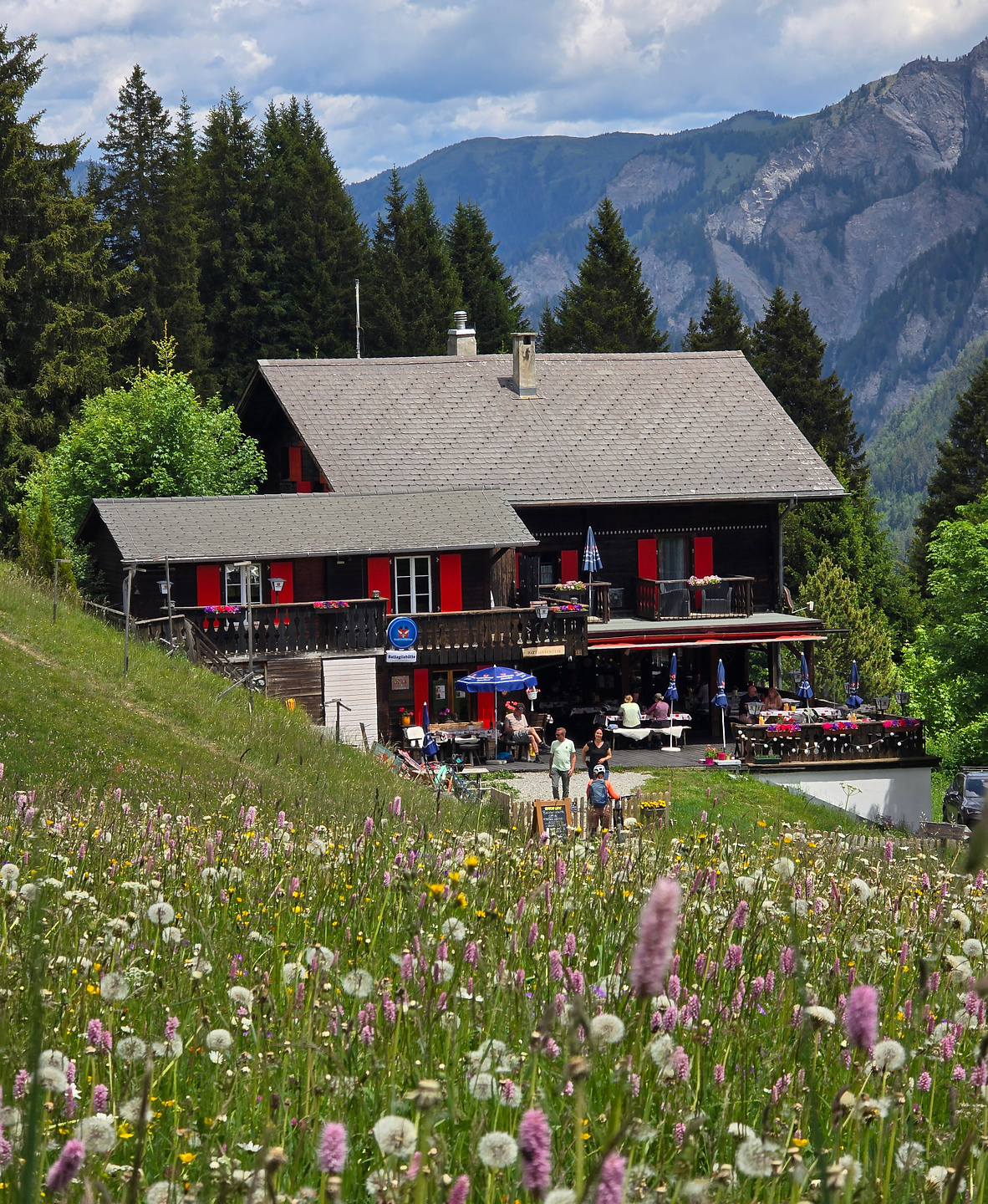 chur-bikepark4.jpg