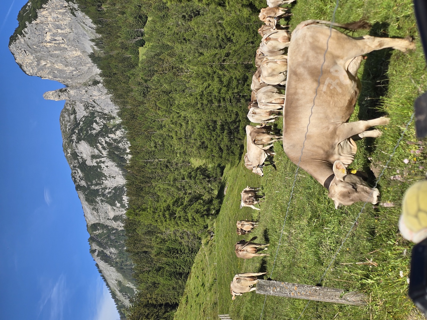 ringelspitz-uphill2.jpg