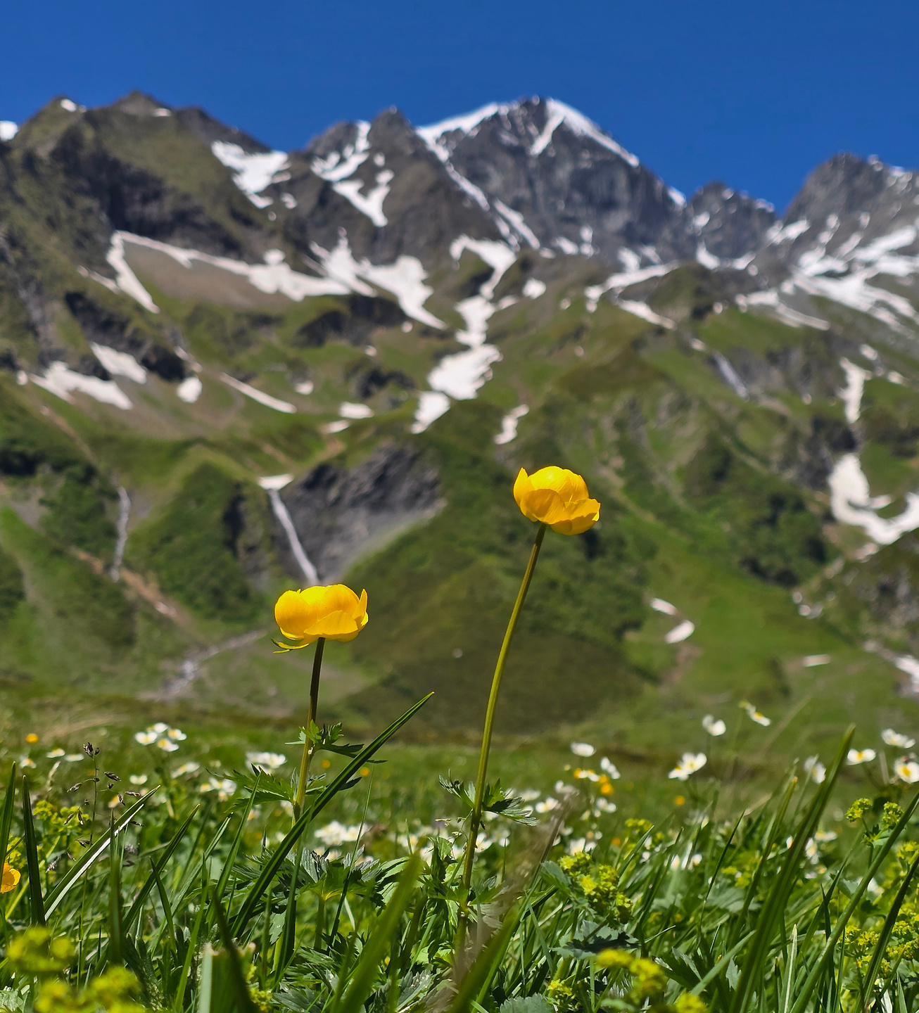 sardona-uphill9.jpg