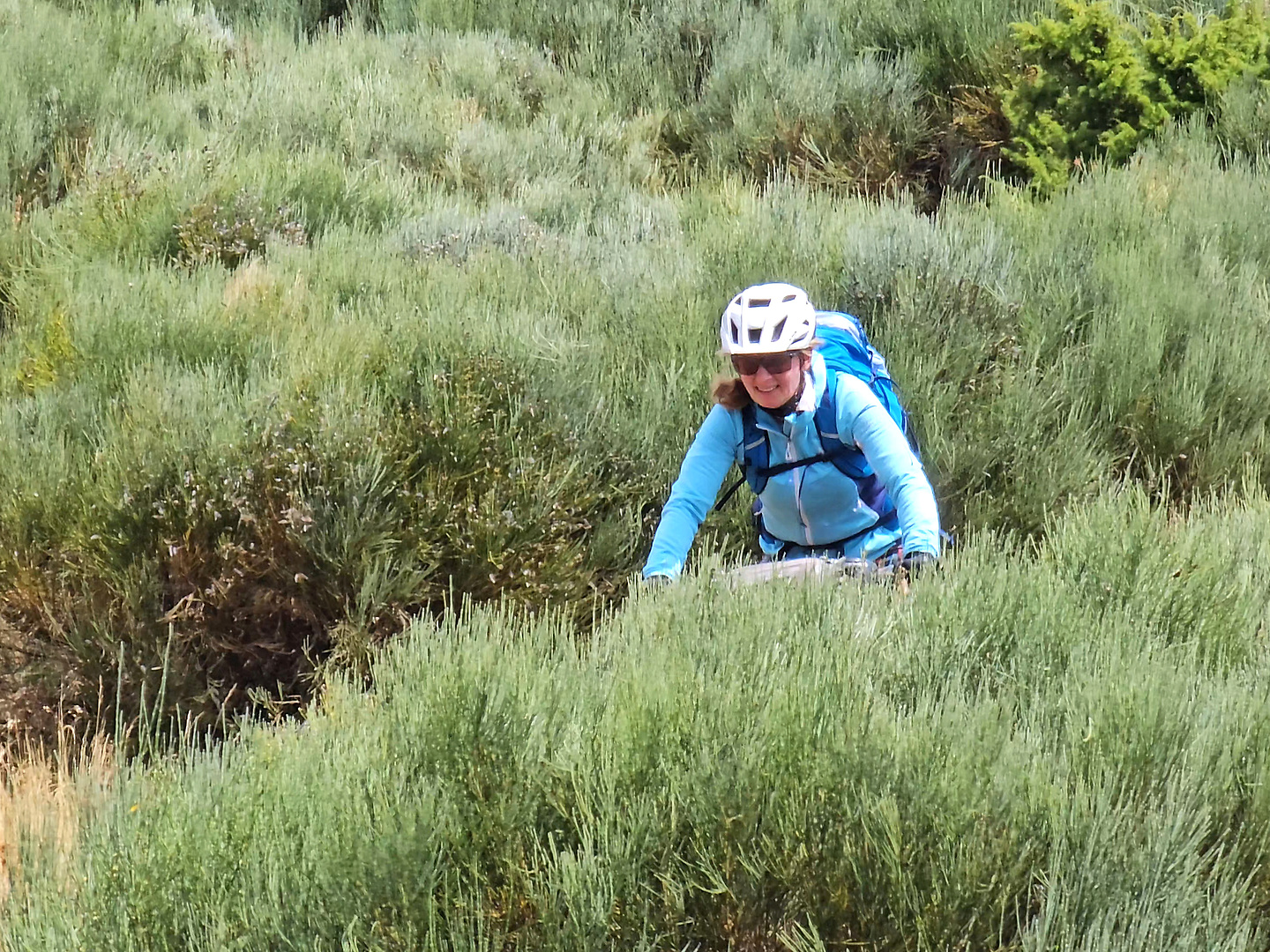 aula-trail10.jpg