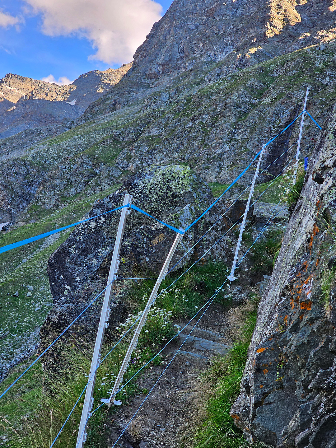 nanzlicke-trail23.jpg