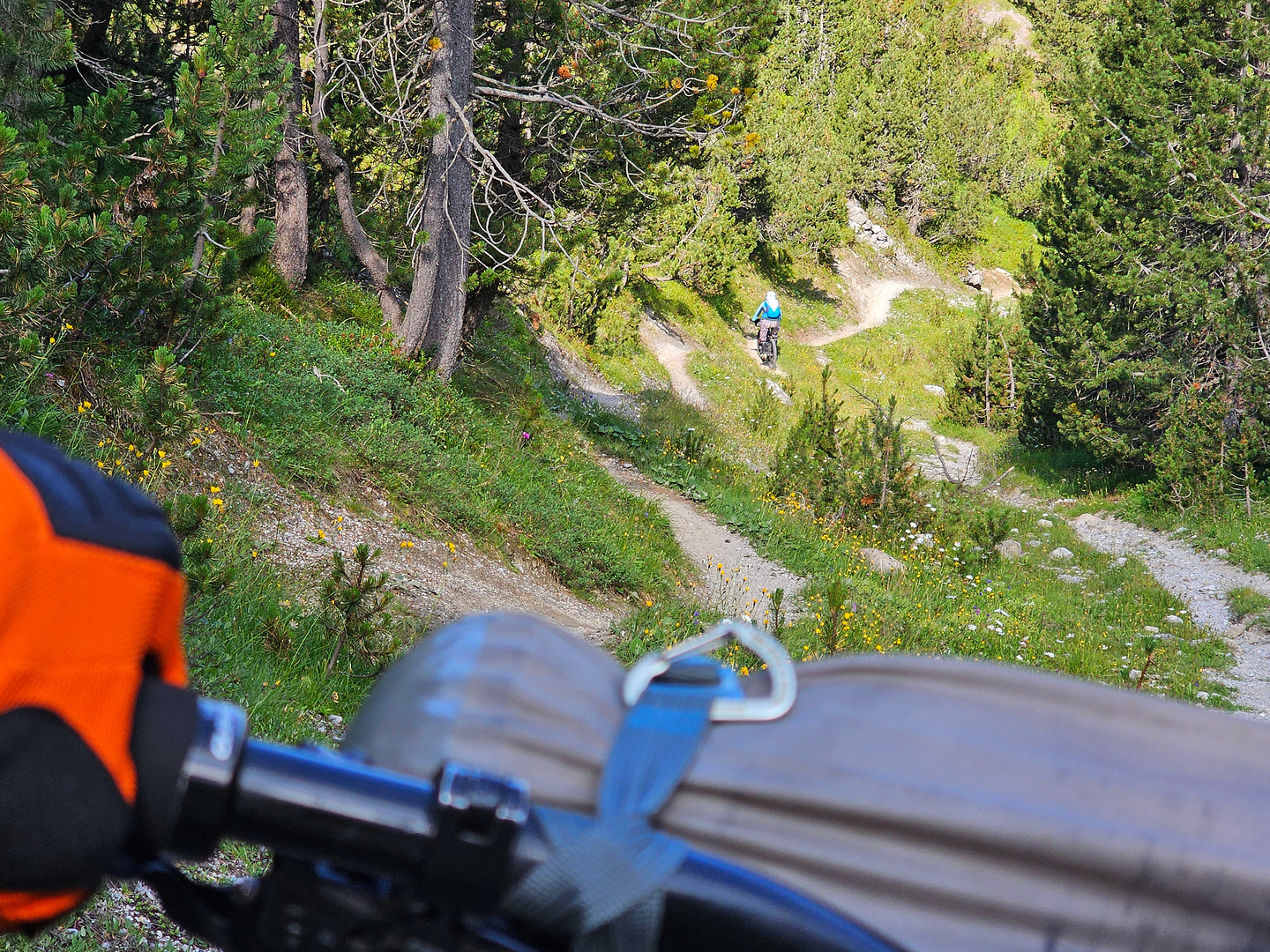 ofenpass-trail2.jpg