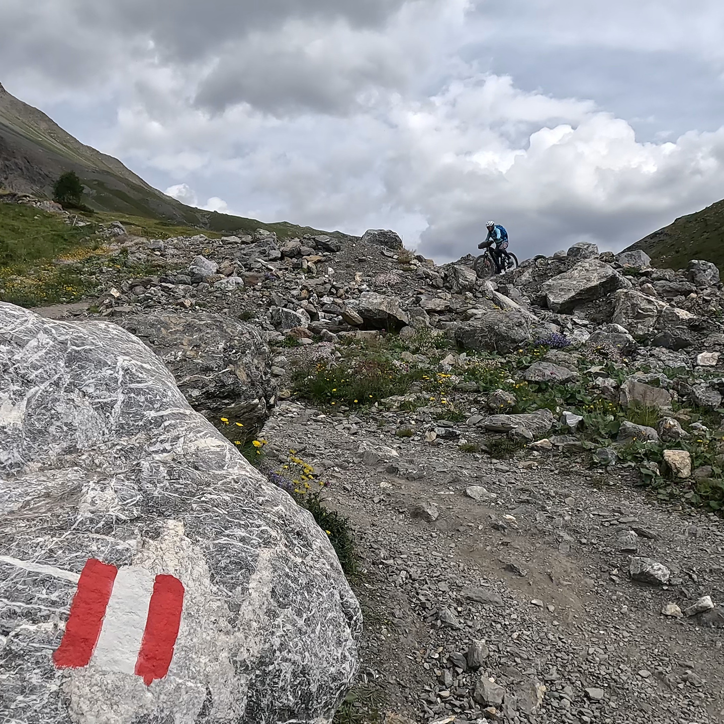 trela-trail1.jpg
