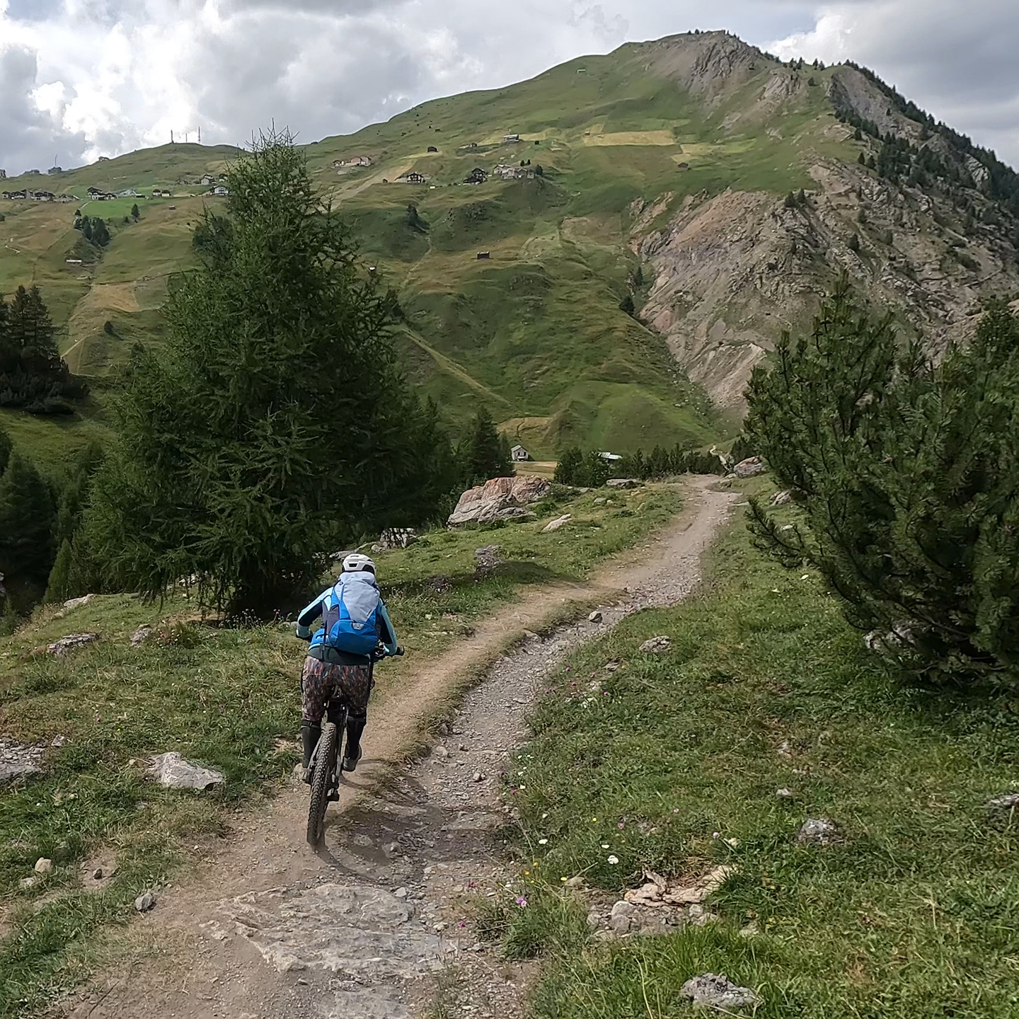 trela-trail2.jpg